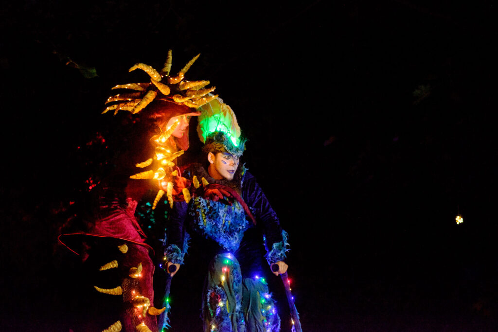 Basilisk als LED Walkact von Hochkant