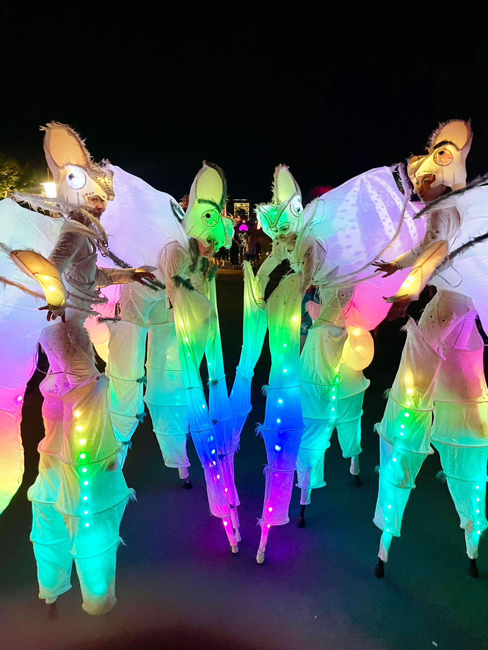 Vier Chamäleons auf Stelzen, die in Regenbogenfarben leuchten